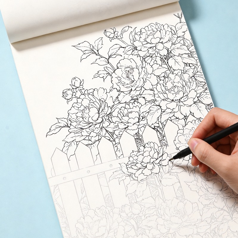 Photography Book - 大人のための瞑想、ストレス解消手描き落書きブック、マルチテーマ（マンダラ/風景/花/癒しの鳥）が含まれる、24ページ。
