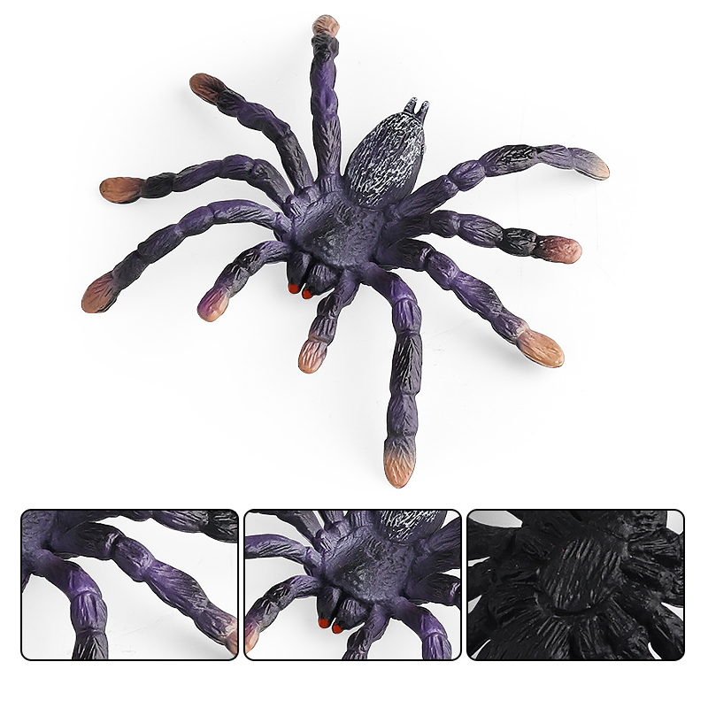 Oenux 昆虫動物モデルクモの巣サソリコウモリアクションフ - Photography Online のレビューと価格
